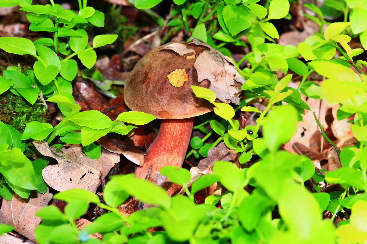 2013_05_28_00017514_Bildgr��e �ndern