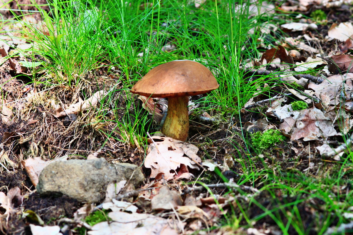 2013_05_28_00017516_Bildgr��e �ndern