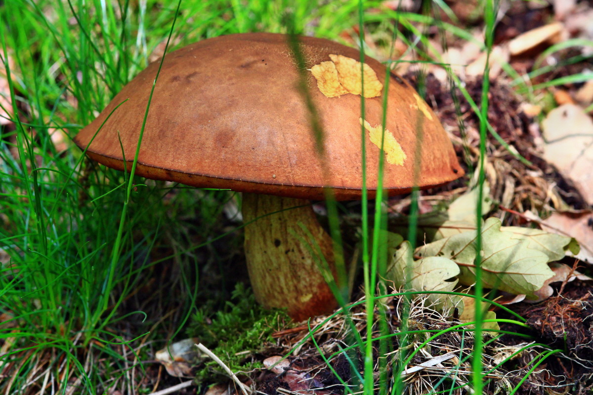 2013_05_28_00017518_Bildgr��e �ndern