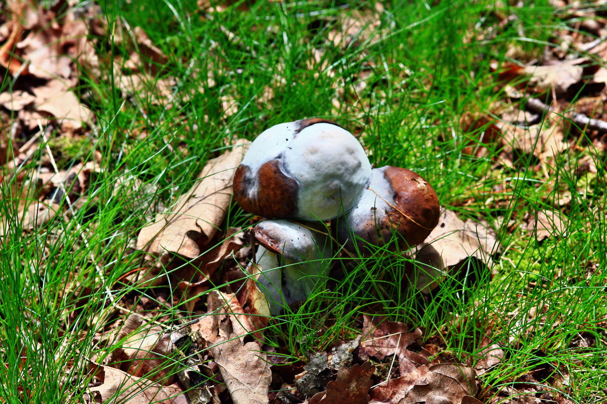 2013_05_28_00017526_Bildgr��e �ndern