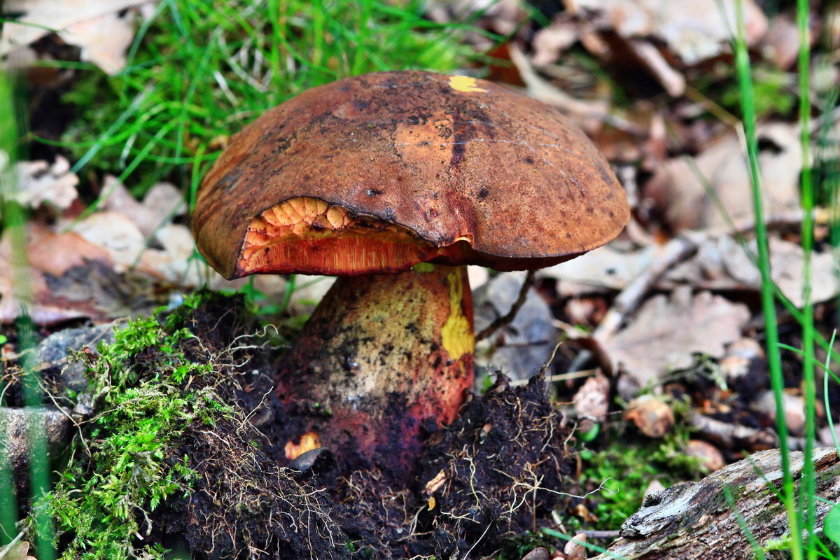 2013_05_28_00017532_Bildgr��e �ndern