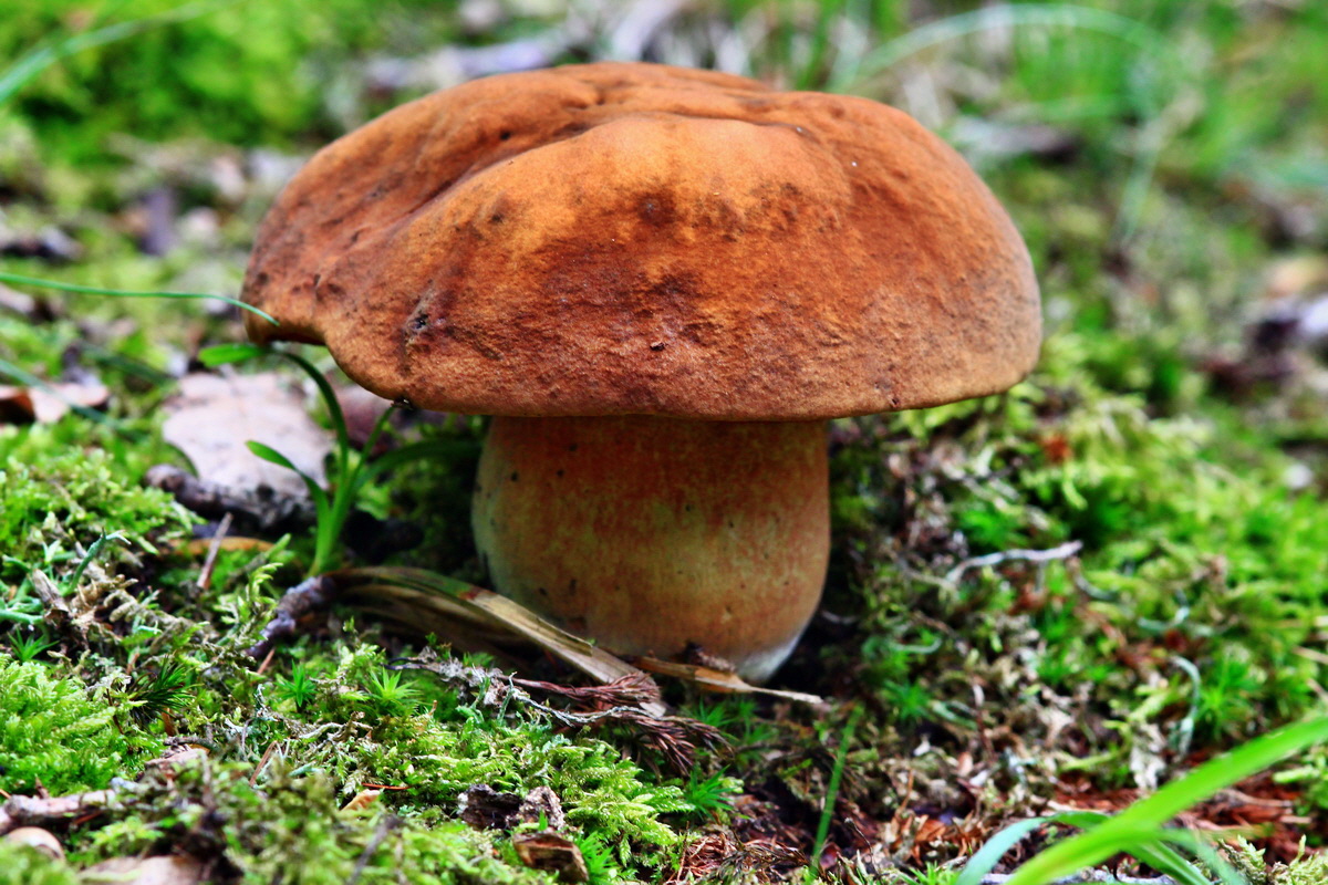 2013_05_28_00017542_Bildgr��e �ndern