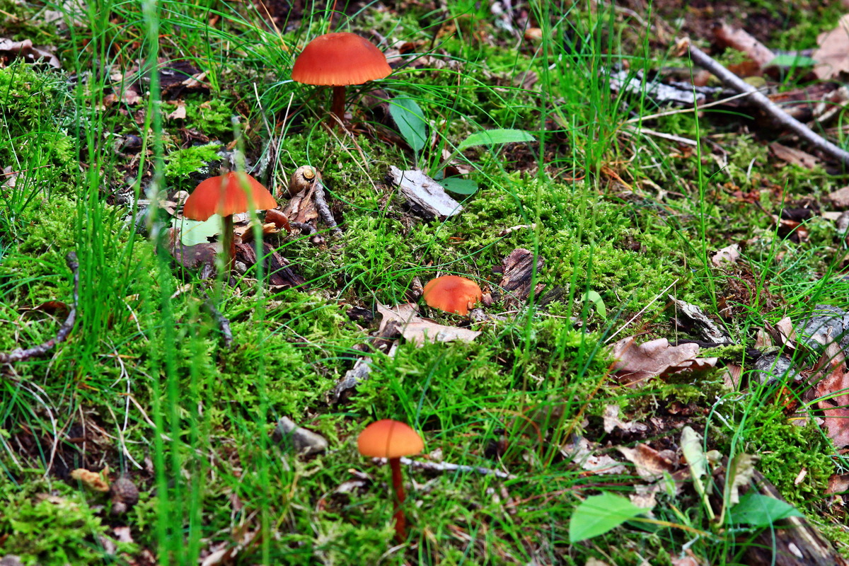 2013_05_28_00017561_Bildgr��e �ndern