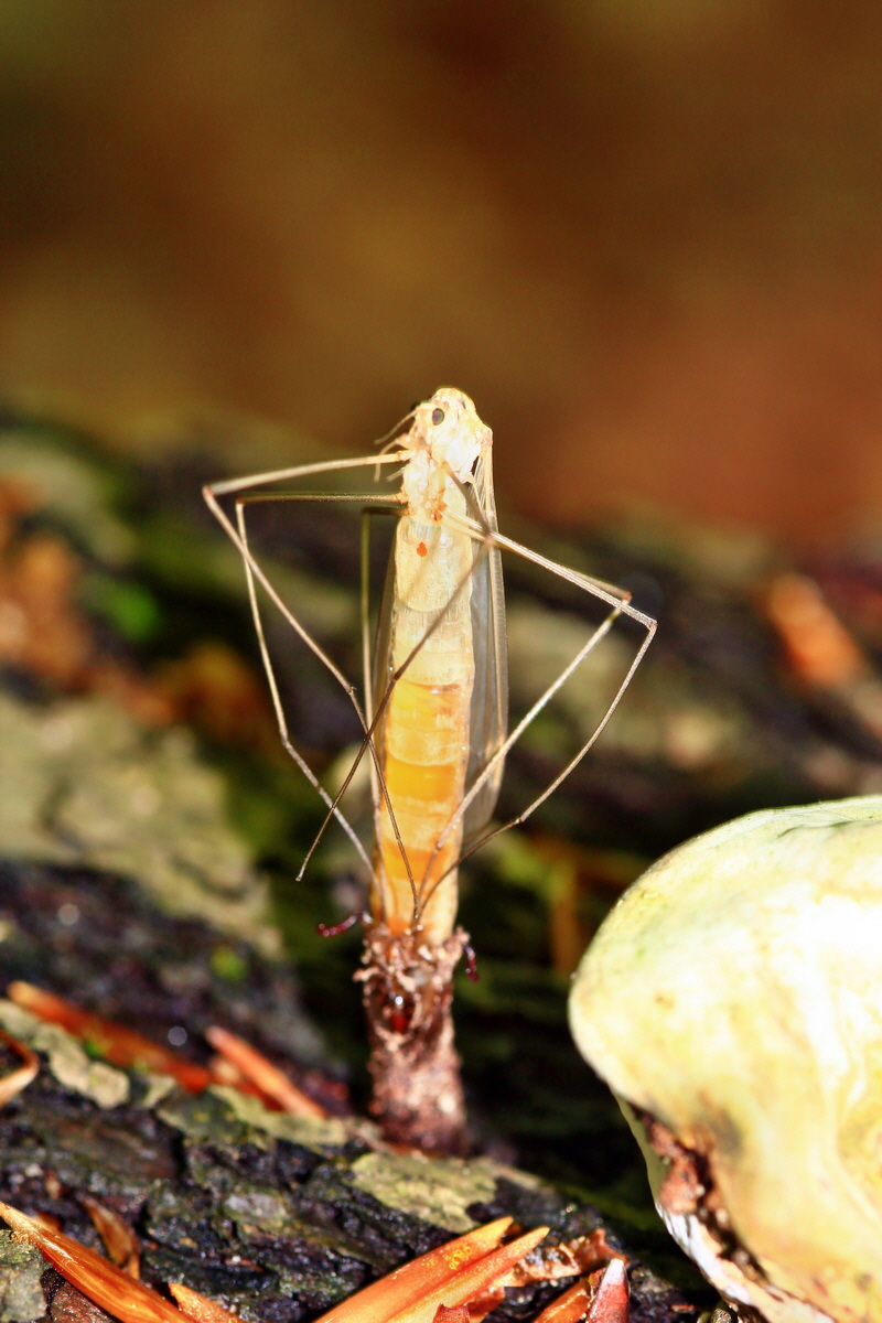 2013_05_28_00017571_Bildgr��e �ndern