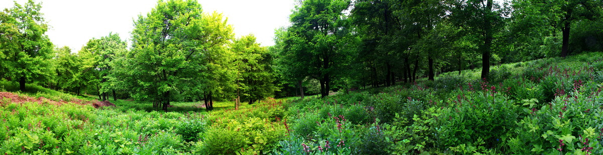 [Group 4]-2013_05_29_00017654_2013_05_29_00017677-8 images_Bildgr��e �ndern