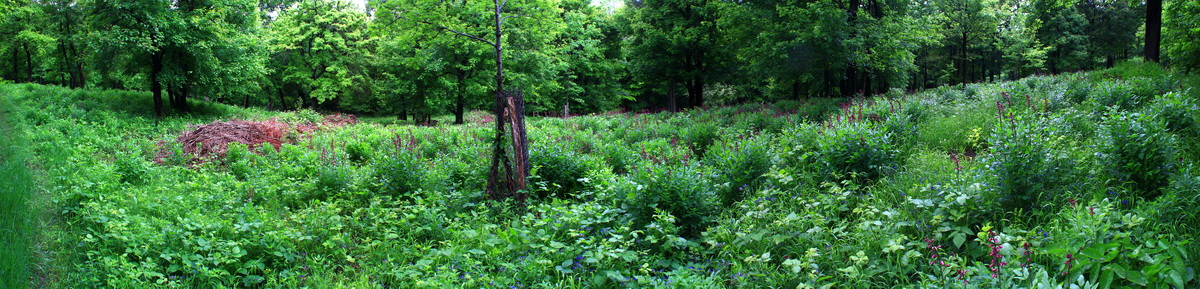 [Group 4]-2013_05_29_00017680_2013_05_29_00017690-5 images_Bildgr��e �ndern