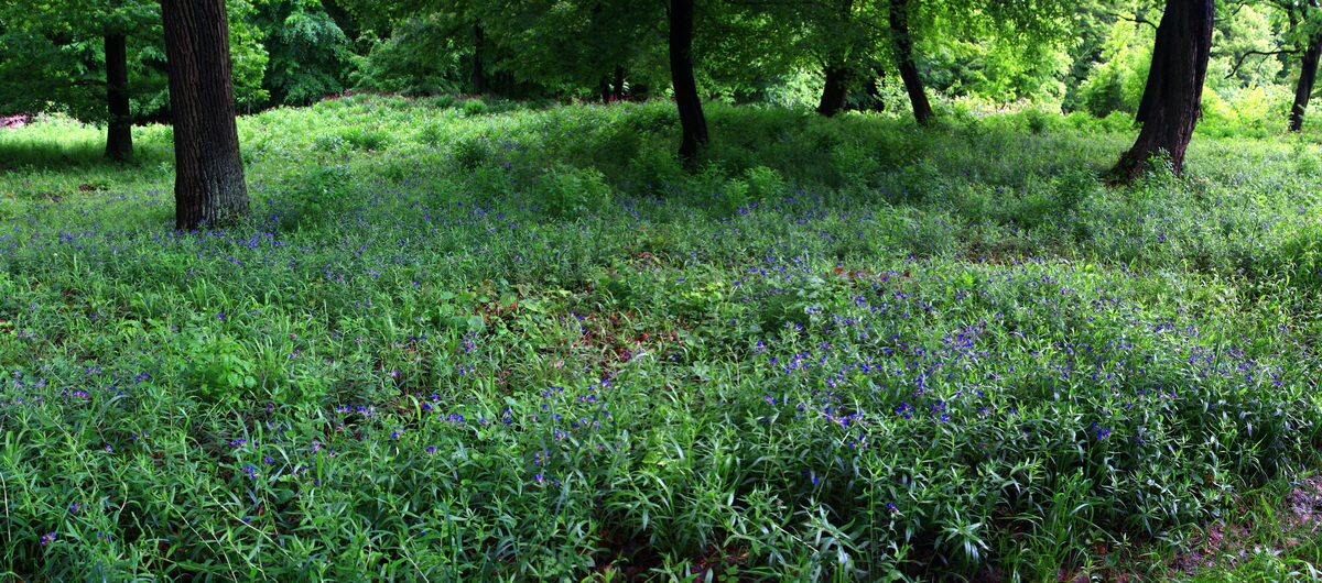 [Group 5]-2013_05_29_00017691_2013_05_29_00017698-5 images_Bildgr��e �ndern