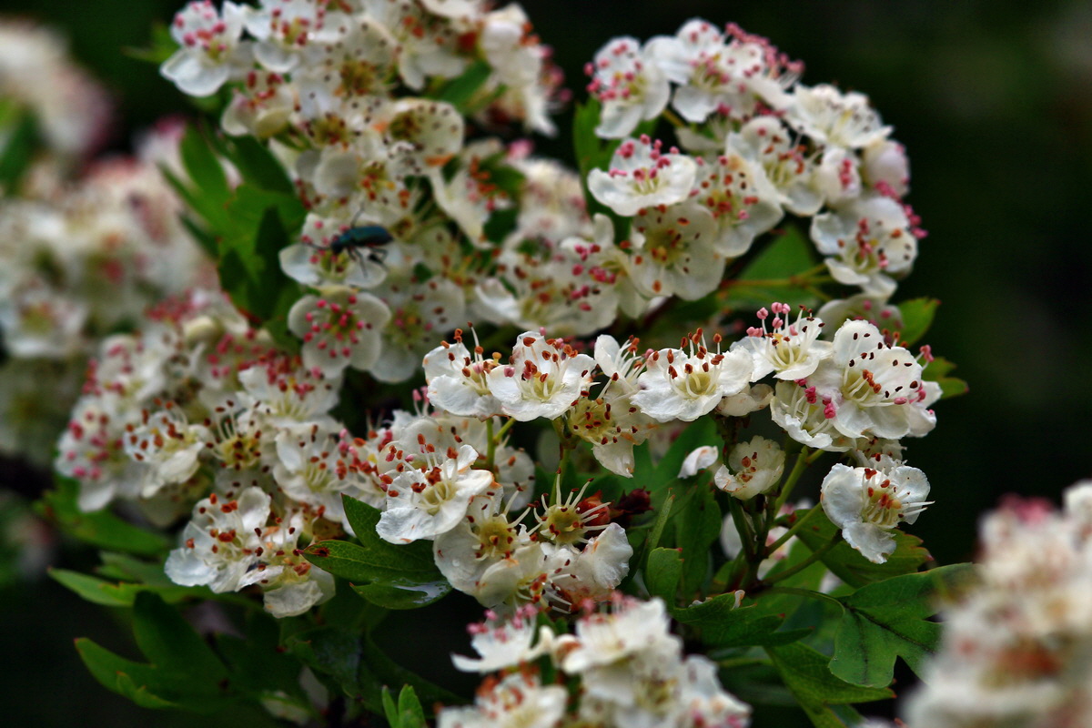 2013_05_29_00017579_Bildgr��e �ndern