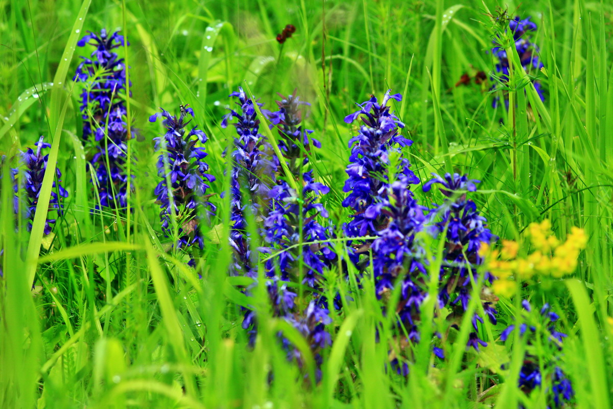 2013_05_29_00017596_Bildgr��e �ndern