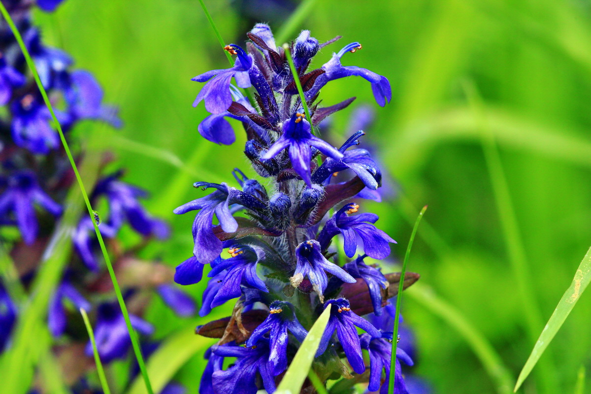 2013_05_29_00017598_Bildgr��e �ndern