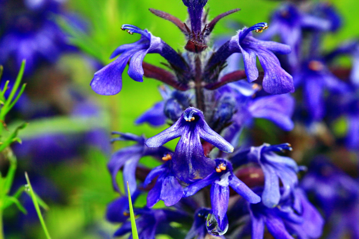 2013_05_29_00017601_Bildgr��e �ndern