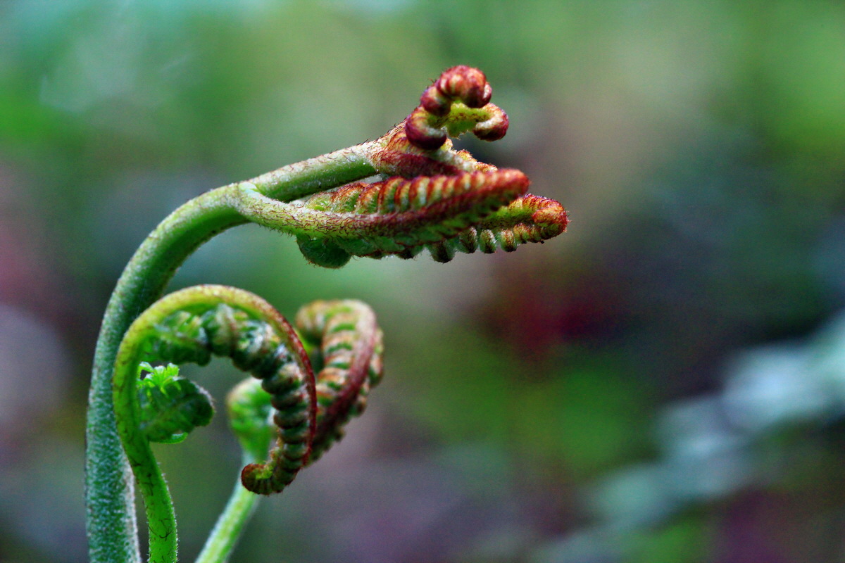 2013_05_29_00017605_Bildgr��e �ndern