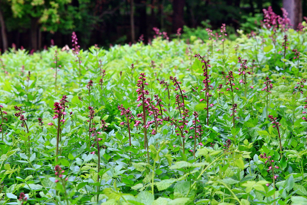 2013_05_29_00017609_Bildgr��e �ndern