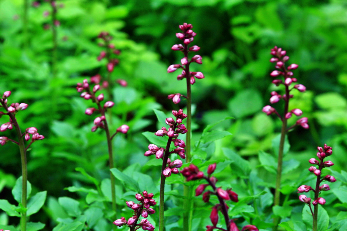 2013_05_29_00017613_Bildgr��e �ndern