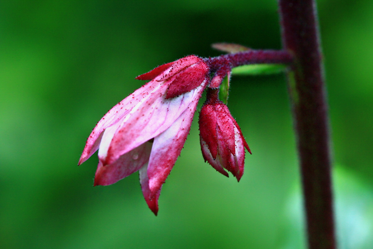 2013_05_29_00017643_Bildgr��e �ndern