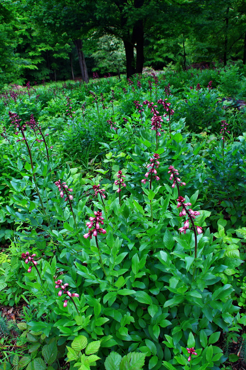 2013_05_29_00017675_Bildgr��e �ndern