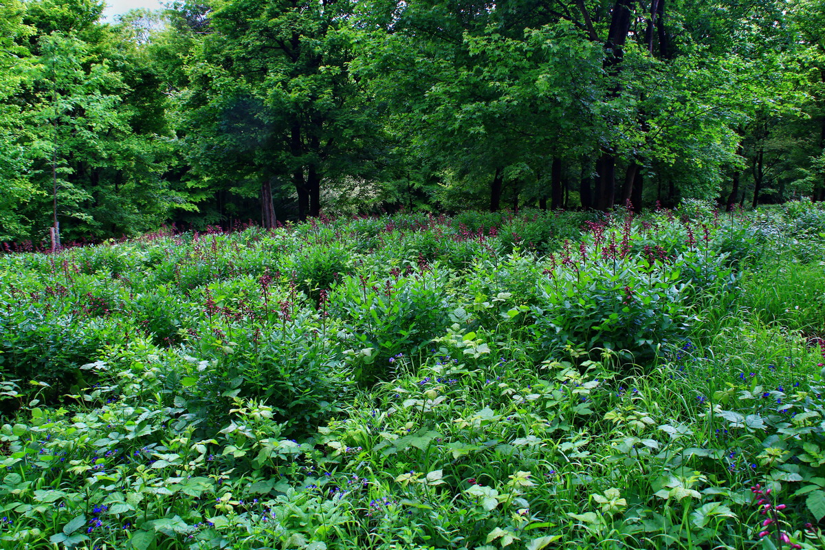 2013_05_29_00017685_Bildgr��e �ndern