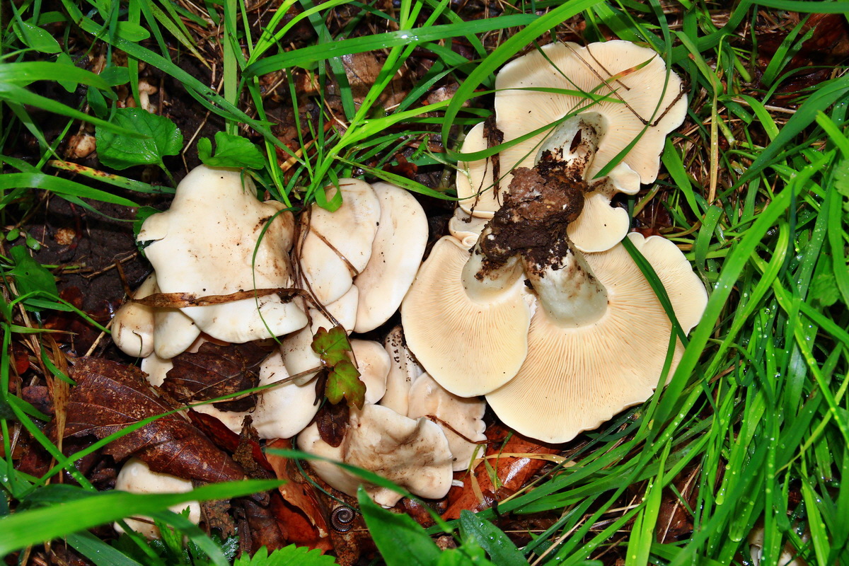 2013_05_29_00017704_Bildgr��e �ndern