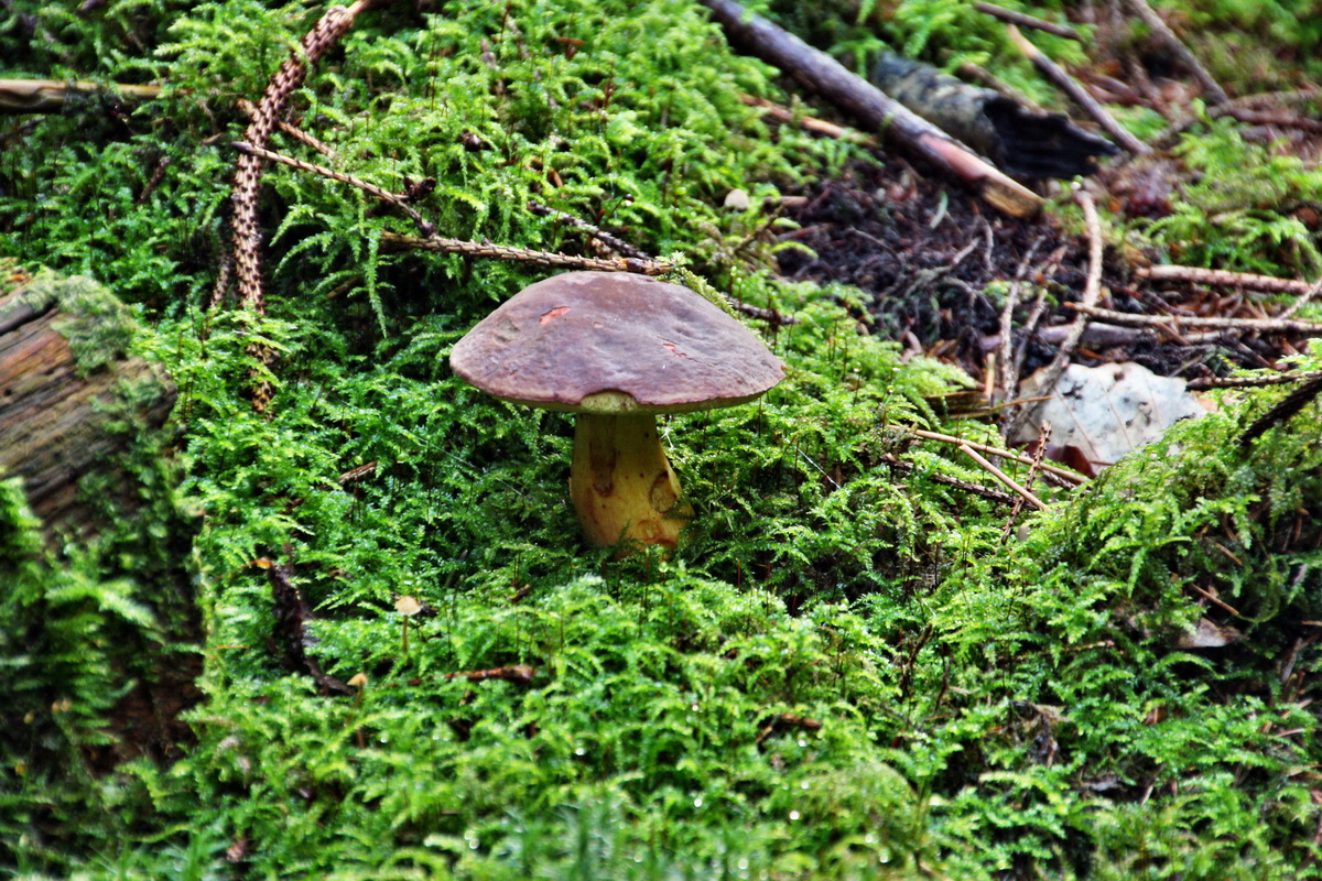 2013_10_13_00031922p_Bildgr��e �ndern