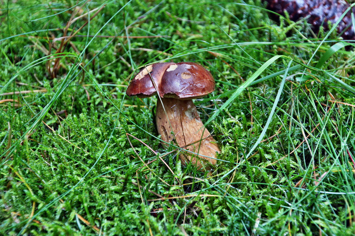 2013_10_13_00031927p_Bildgr��e �ndern