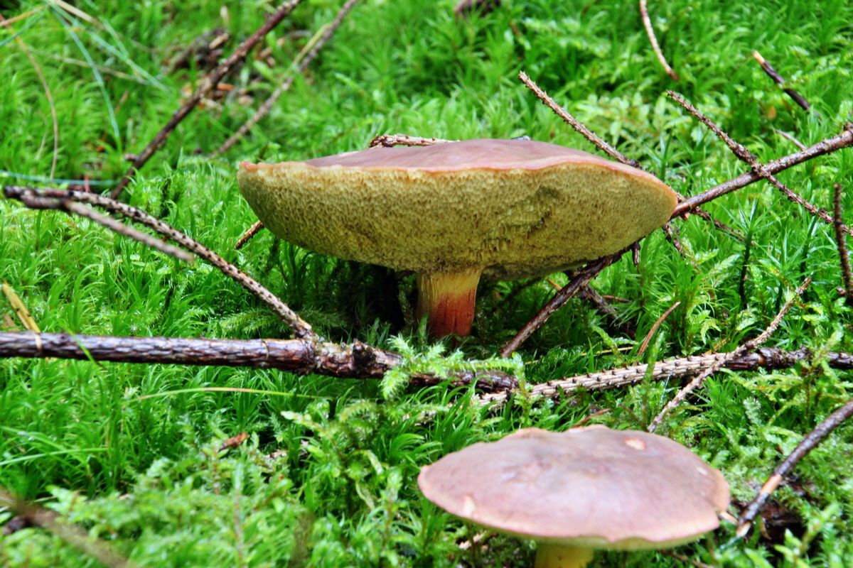 2013_10_13_00031933p_Bildgr��e �ndern