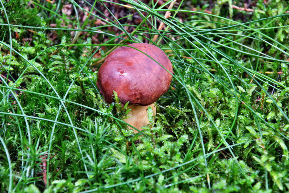 2013_10_13_00031942p_Bildgr��e �ndern