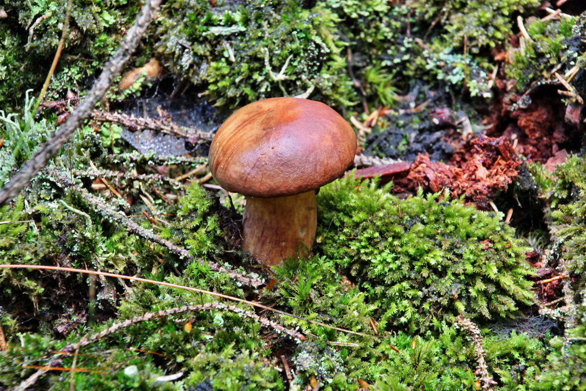 2013_10_13_00031950p_Bildgr��e �ndern