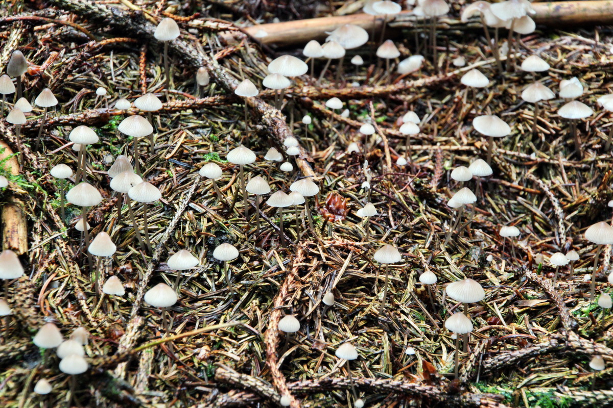 2013_10_13_00031953p_Bildgr��e �ndern