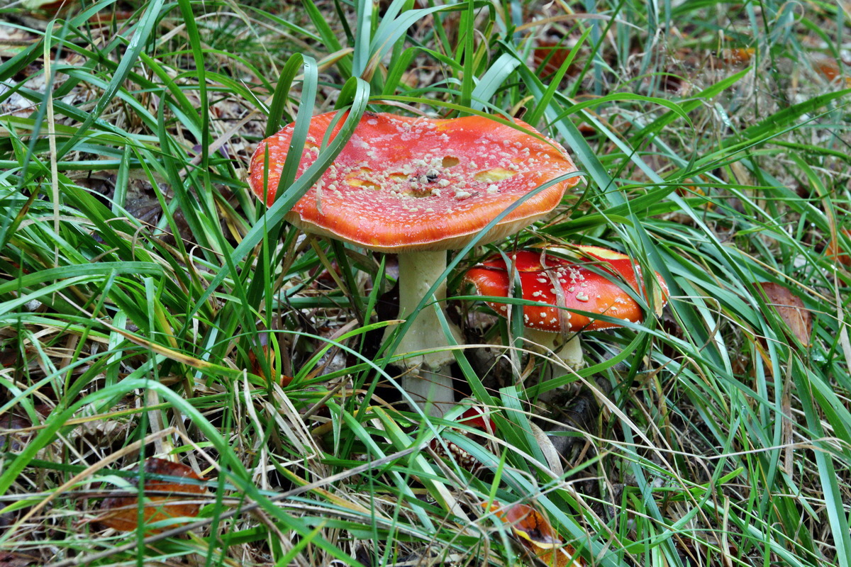 2013_10_13_00031960p_Bildgr��e �ndern