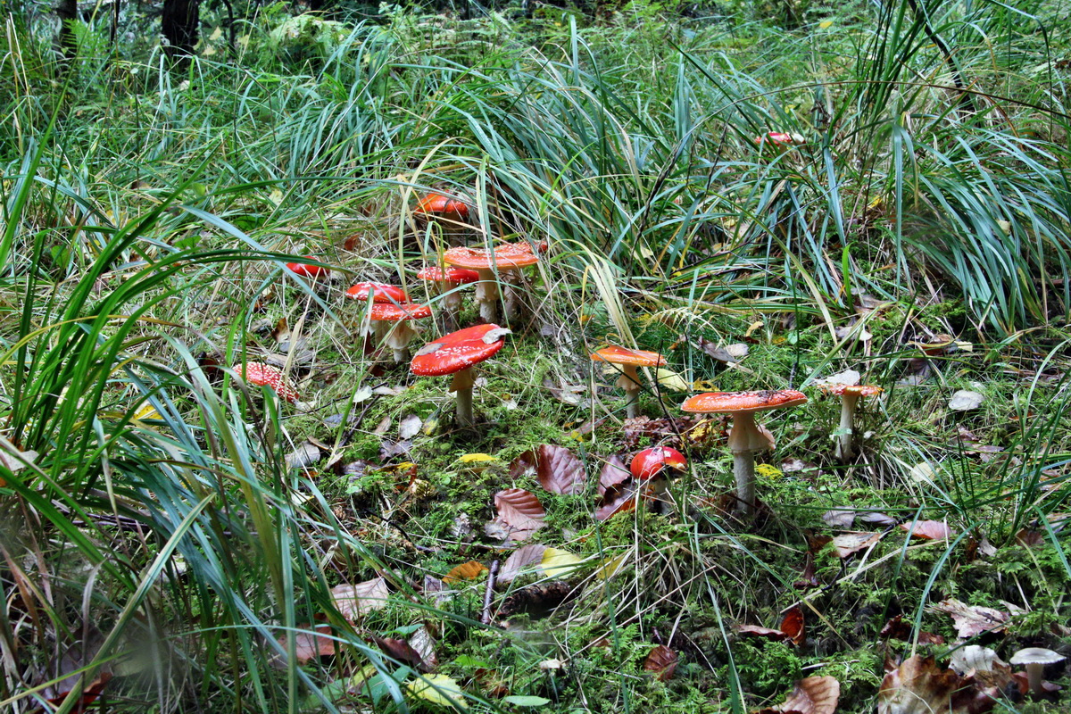 2013_10_13_00031973p_Bildgr��e �ndern