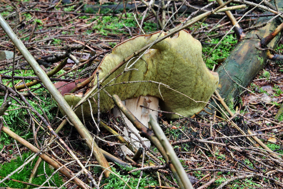 2013_10_13_00031997p_Bildgr��e �ndern