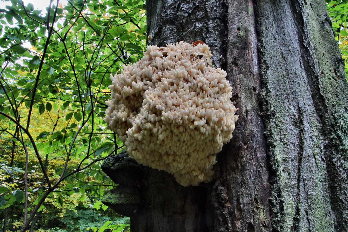 2013_10_13_00032001p_Bildgr��e �ndern