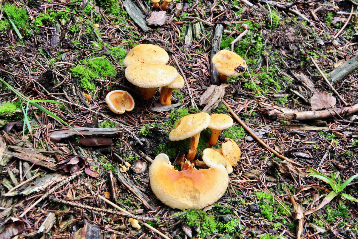 2013_10_13_00032015p_Bildgr��e �ndern