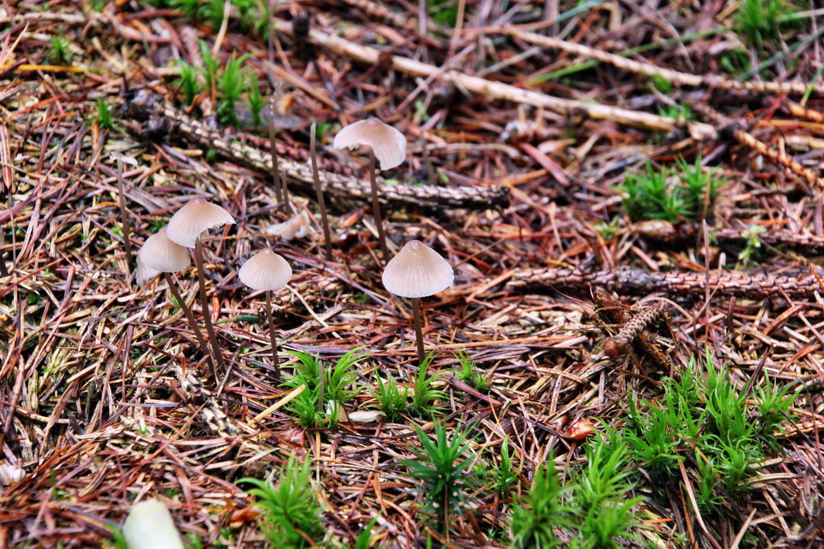 2013_10_13_00032019p_Bildgr��e �ndern