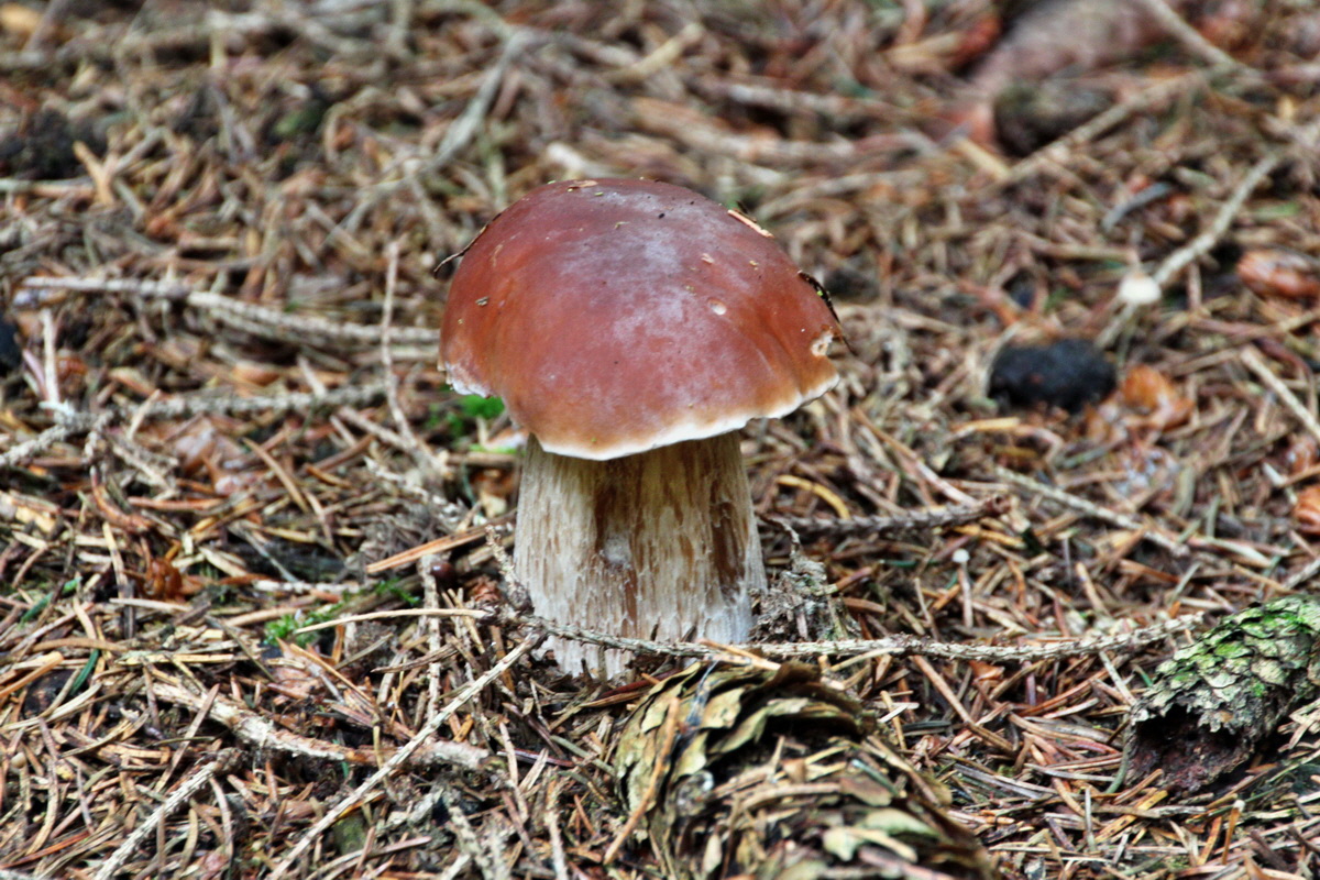 2013_10_22_00032893p_Bildgr��e �ndern