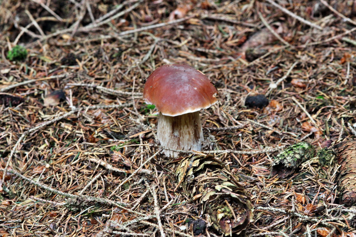 2013_10_22_00032914p_Bildgr��e �ndern