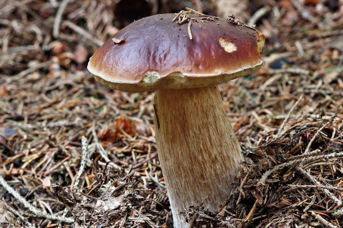 2013_10_22_00032916p_Bildgr��e �ndern