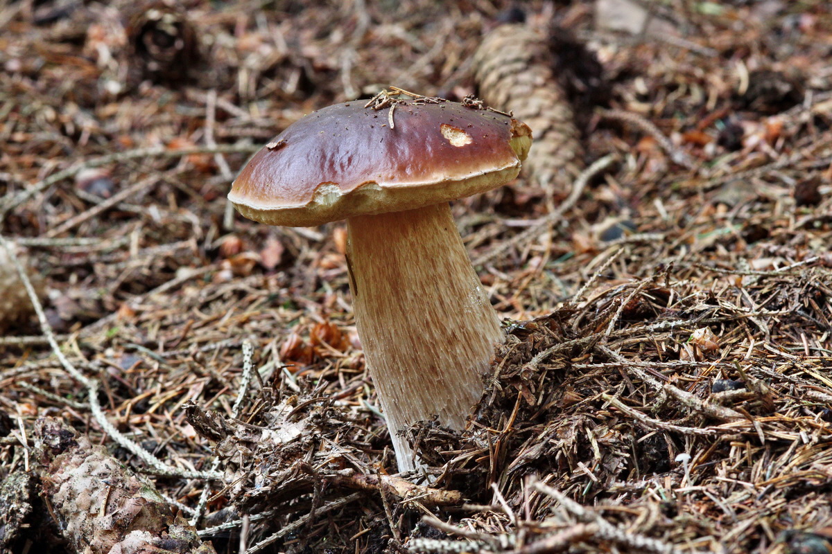 2013_10_22_00032920p_Bildgr��e �ndern