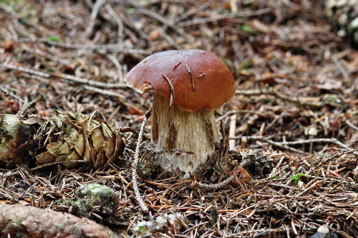 2013_10_22_00032927p_Bildgr��e �ndern