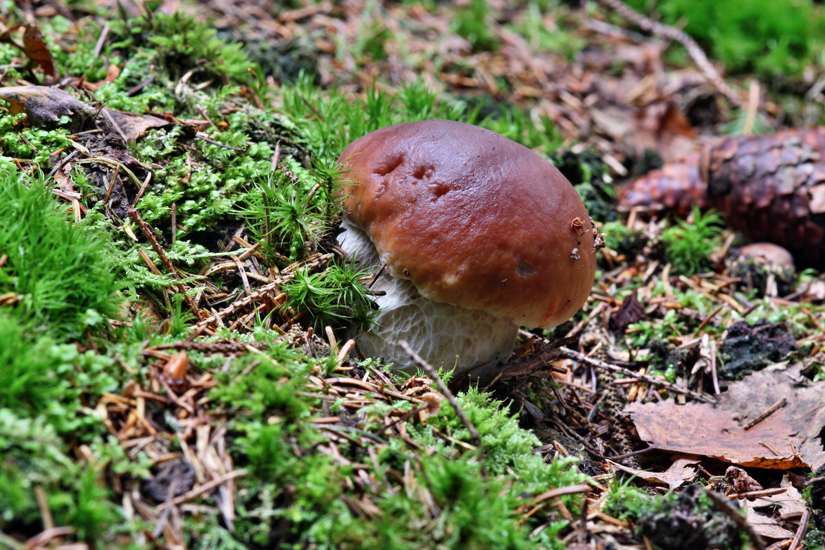 2013_10_22_00032930p_Bildgr��e �ndern