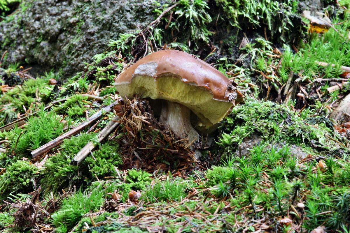 2013_10_22_00032954p_Bildgr��e �ndern