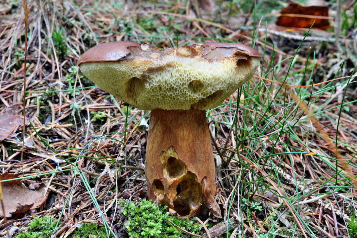 2013_10_22_00032963p_Bildgr��e �ndern