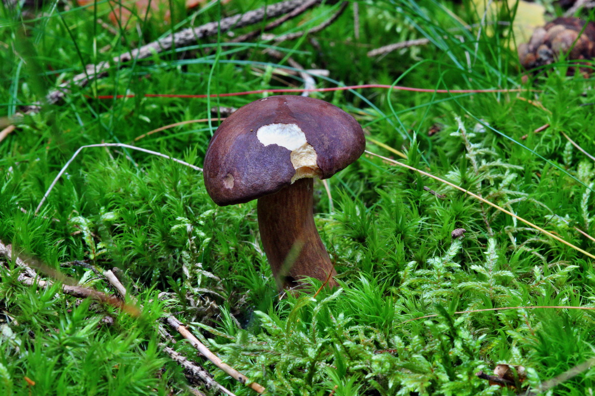 2013_10_22_00032975p_Bildgr��e �ndern