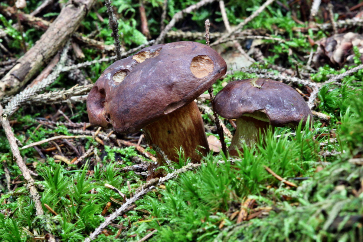 2013_10_22_00032979p_Bildgr��e �ndern