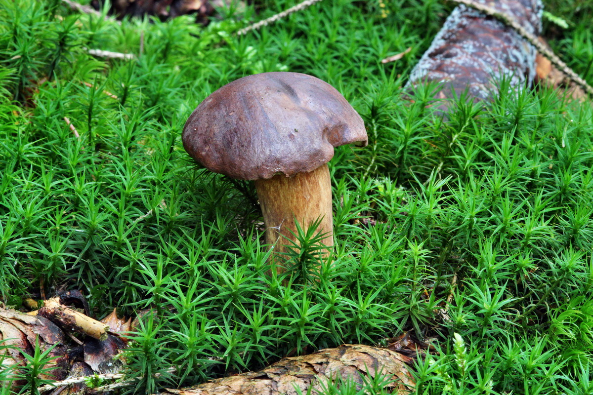 2013_10_22_00032989p_Bildgr��e �ndern