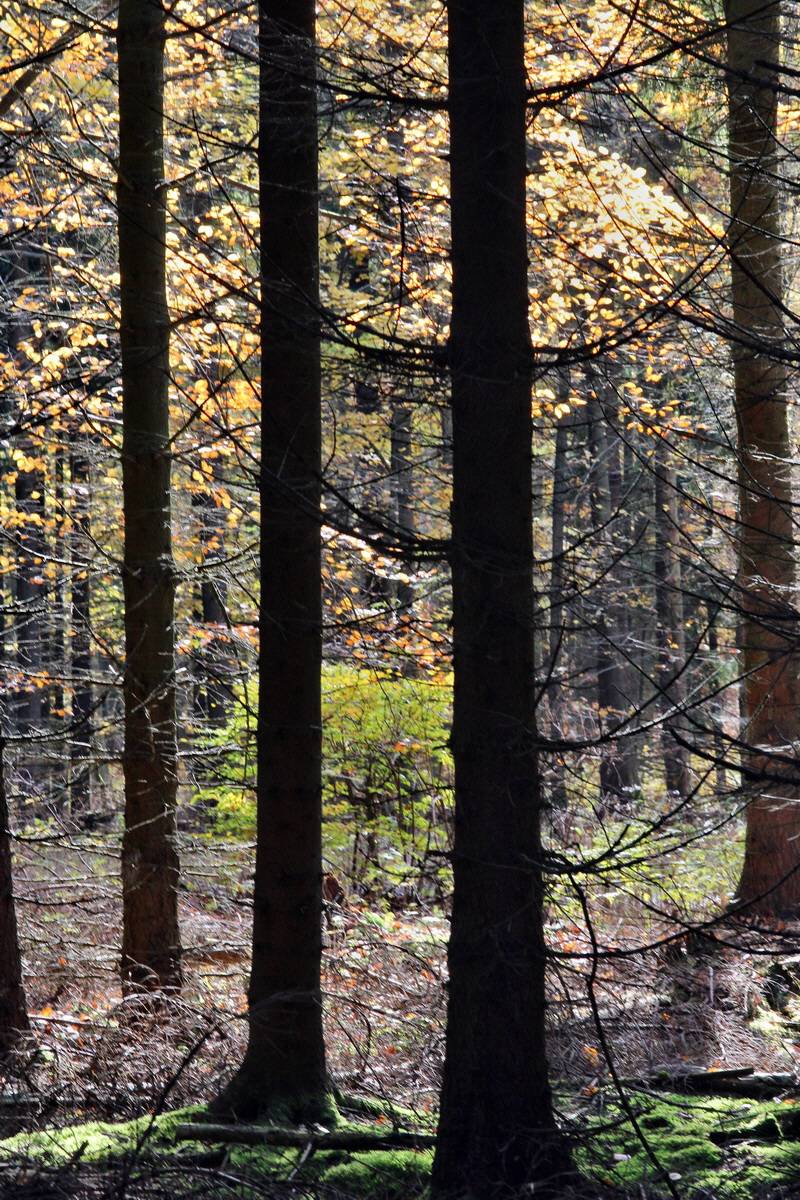 2013_10_22_00032997p_Bildgr��e �ndern