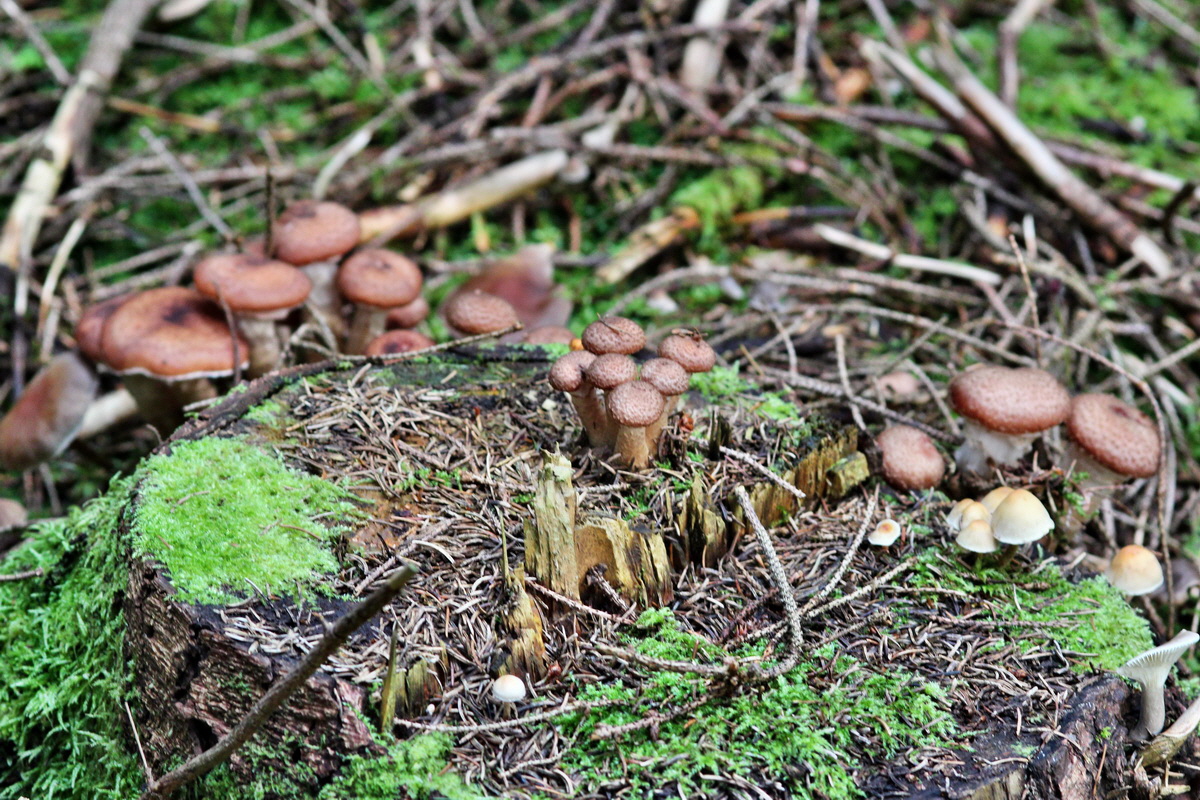 2013_10_22_00033005p_Bildgr��e �ndern