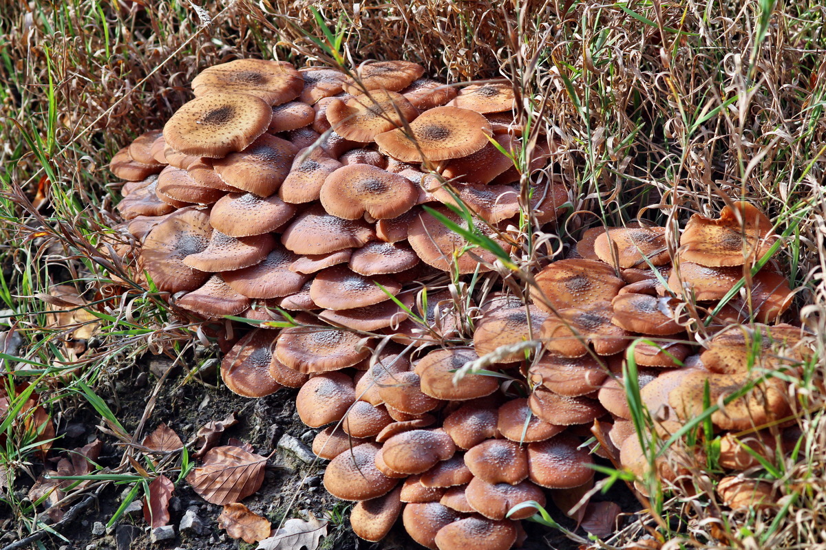 2013_10_22_00033016p_Bildgr��e �ndern