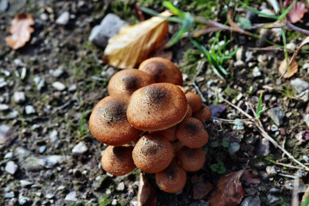 2013_10_22_00033024p_Bildgr��e �ndern