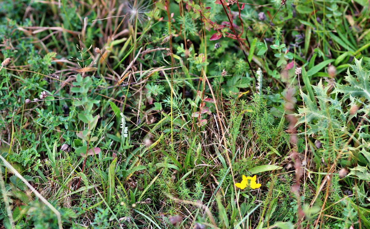 [Group 12]-2013_09_04_00030191_2013_09_04_00030199-4 imagesp_Bildgr��e �ndern